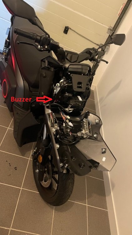 Scooter Buzzer 1.jpg